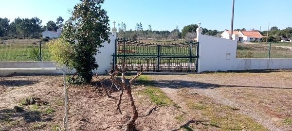 2-bedroom freehold villa in Comporta/Melides — photo 3 of 5