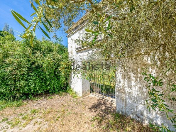 4-bedroom freehold villa in Sintra/Colares — photo 4 of 5