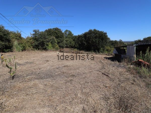 4-bedroom freehold villa in Alcobaça/São Martinho do Porto — photo 4 of 5