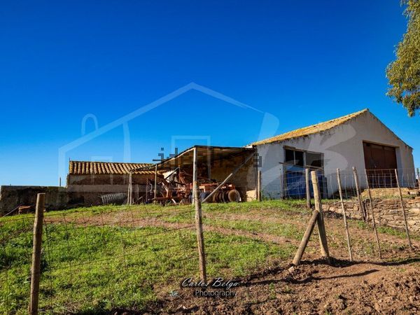Estate in Rua Doutor Antonio José de Almeida, Azinheira dos Barros — image 3