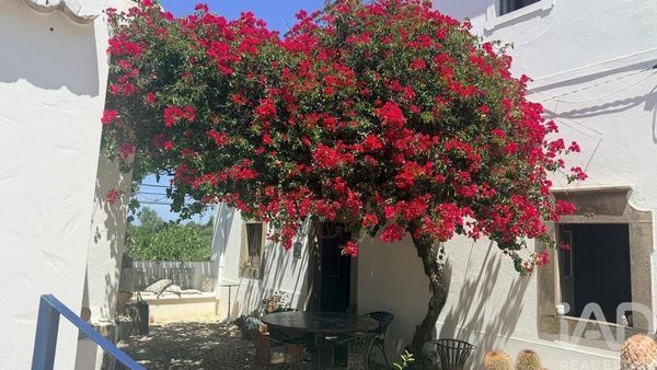 4-bedroom freehold villa in Faro — photo 4 of 5