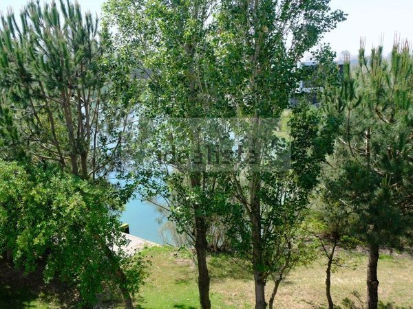 3-bedroom freehold villa in Comporta/Melides — photo 4 of 5
