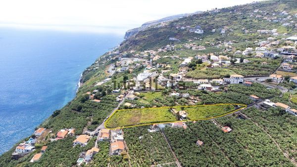 Detached house in Arco da Calheta — image 5