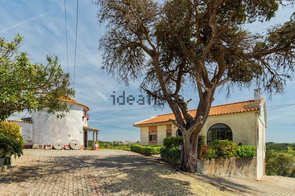 Detached house in Rua Elias Garcia, Rio Mouro Velho - Alto do Forte, Rio de Mouro — image 3