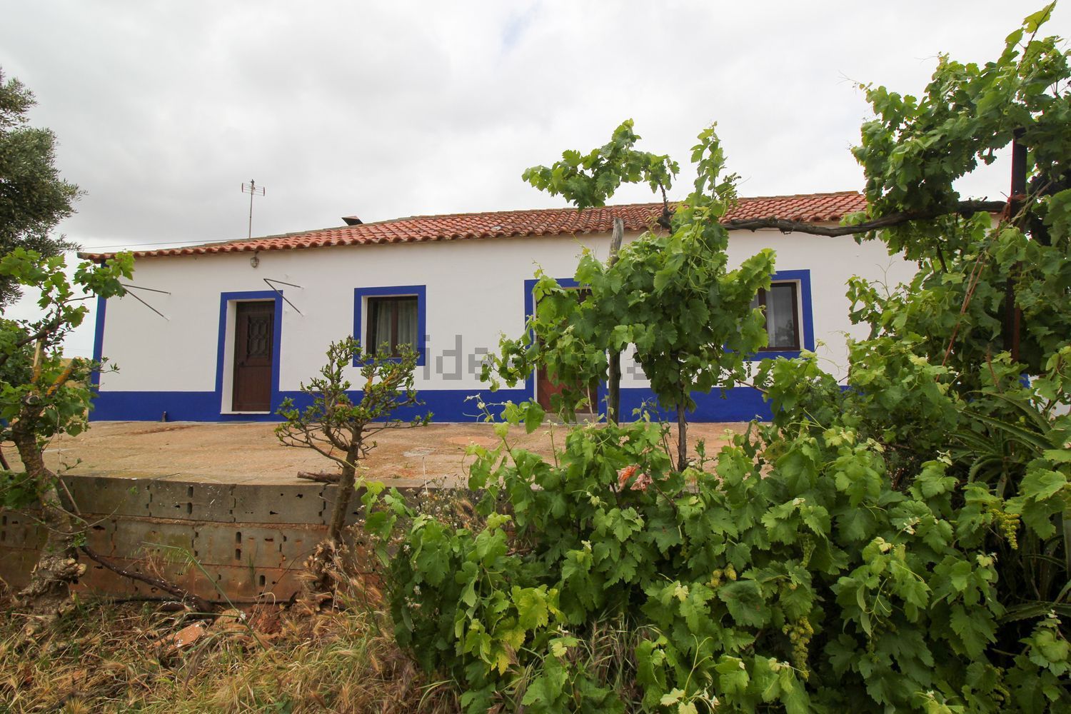 Casa rural em Santana de Cambas
