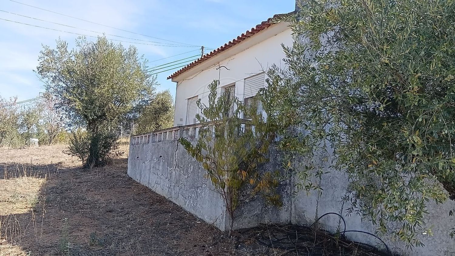 Quintas e casas rústicas em Mouriscas