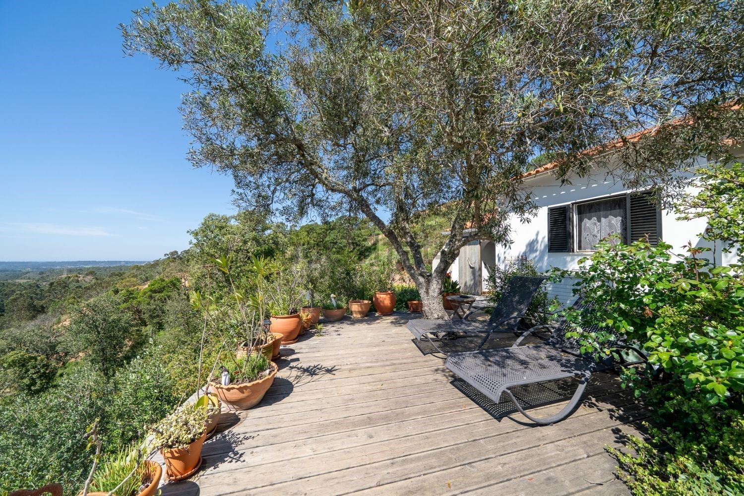 Quintas e casas rústicas em Aljezur
