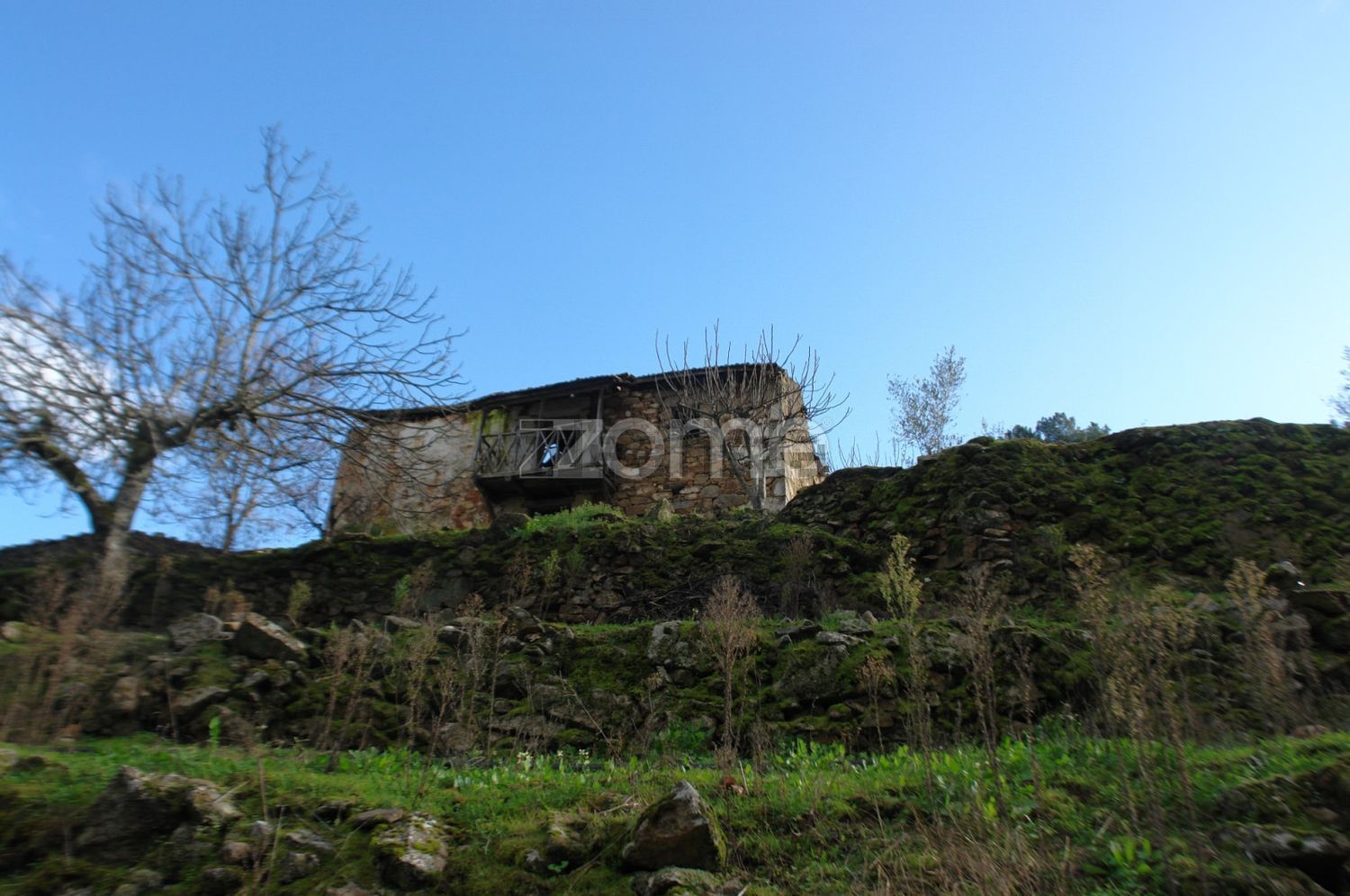 Quintas e casas rústicas em Sabrosa