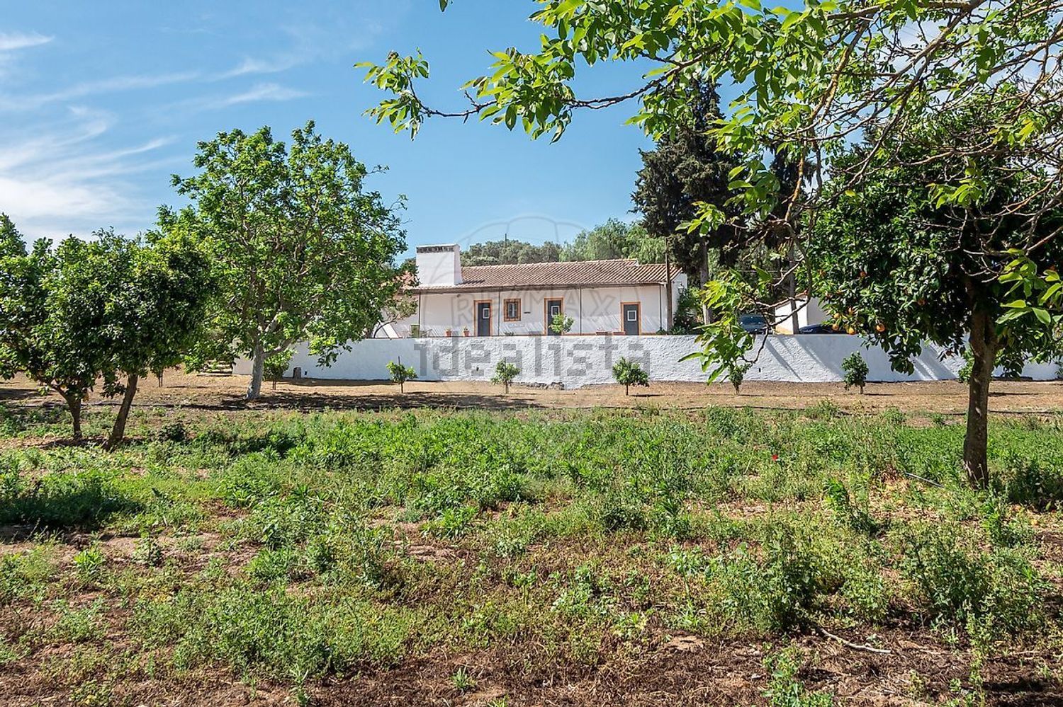  小楼房或独栋别墅出售, avenida Joaquim Maximo de Calça e Pina - 外立面