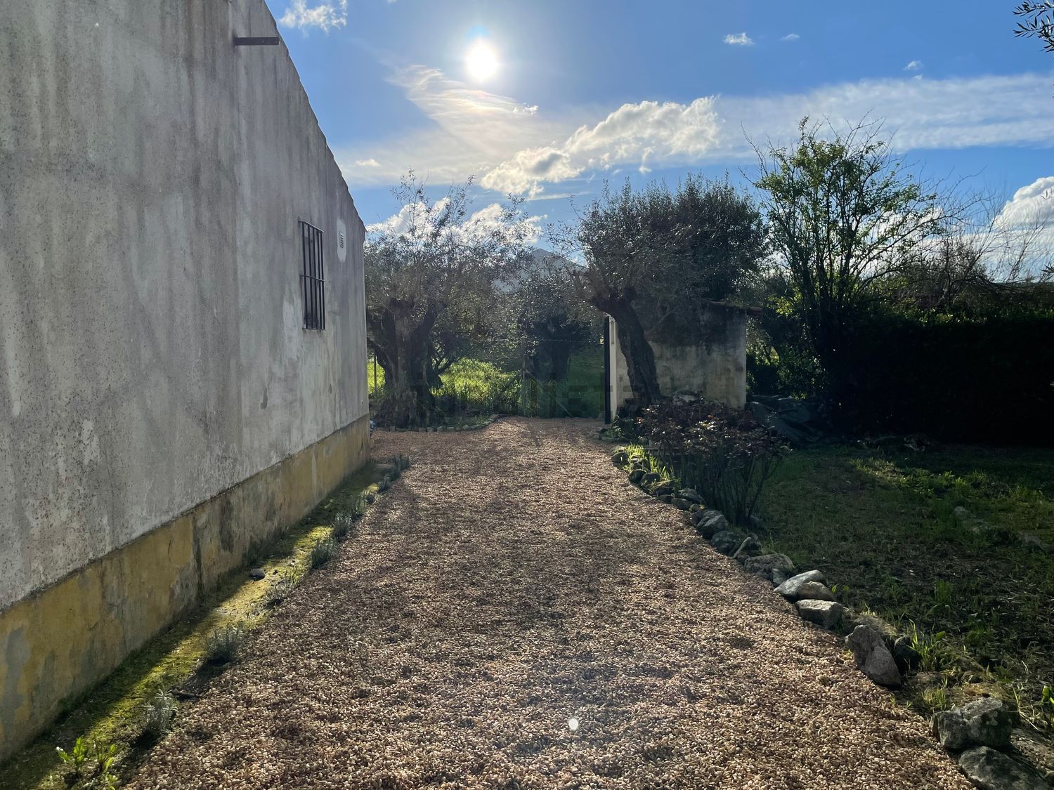  山间别墅出售, Monte das Pedras, 1 - 花园