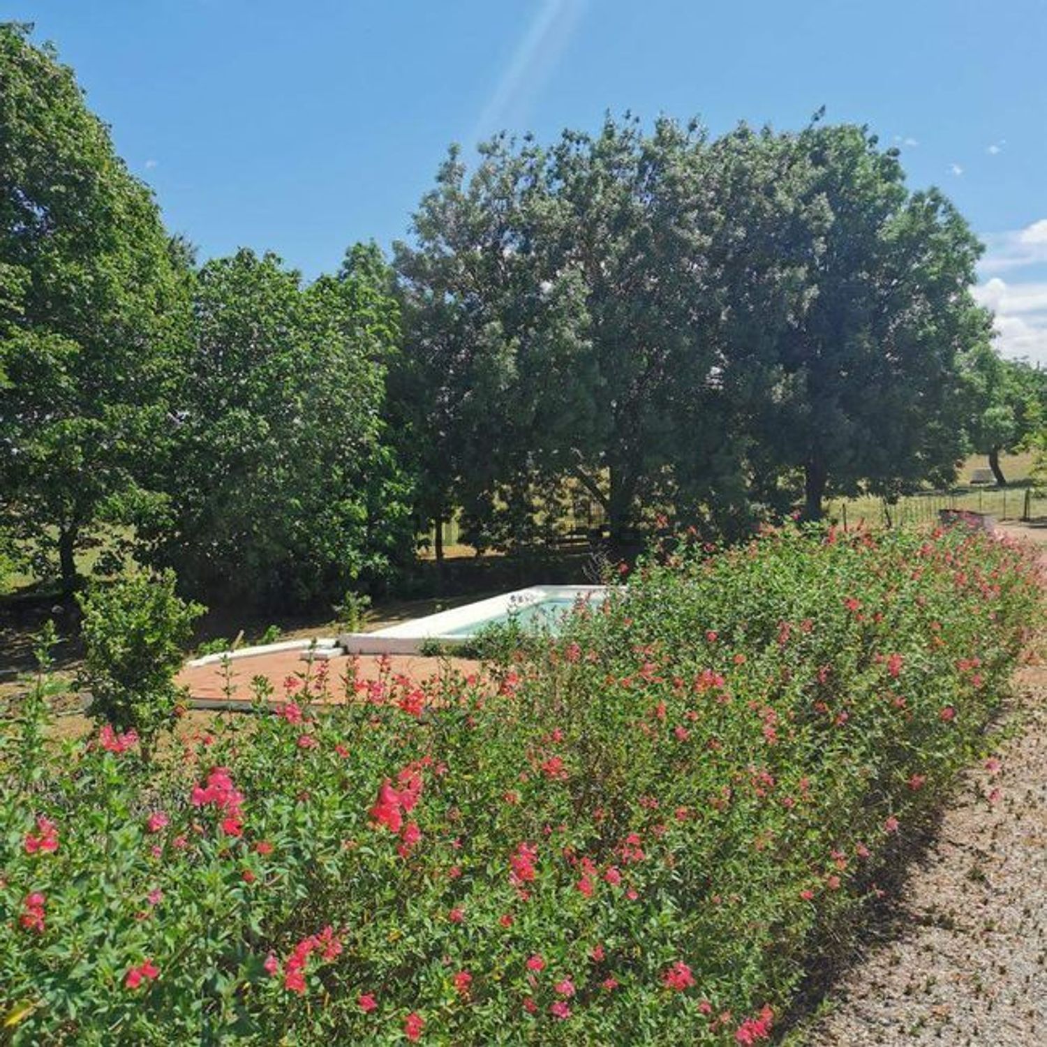  山间别墅出售, Horta do Portolheiro - 花园