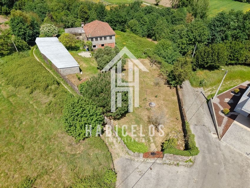 Зображення  кінта, N205, 1426