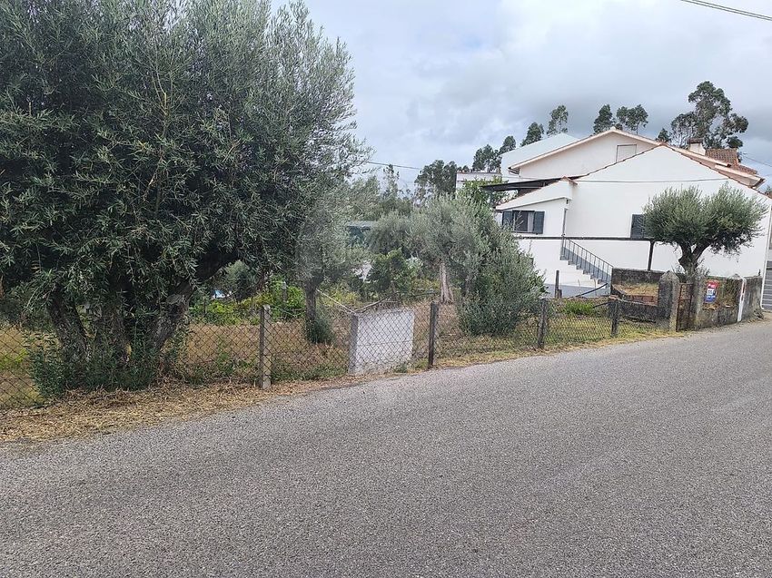 Imagem de terreno em Olalhas