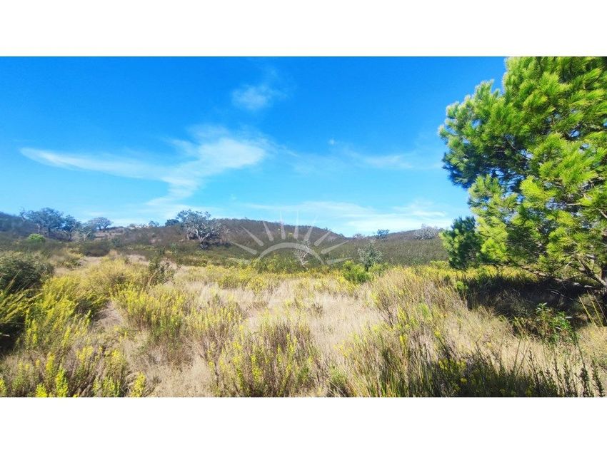 Imagem Vistas de terreno em Santiago do Cacém - Santa Cruz - São Bartolomeu da Serra