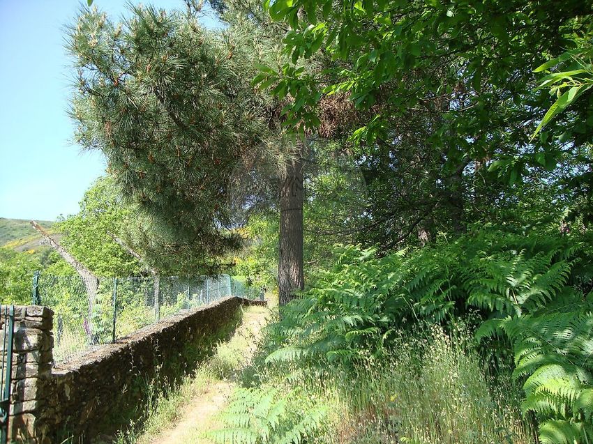 Зображення земельна ділянка, Rua da Arieira