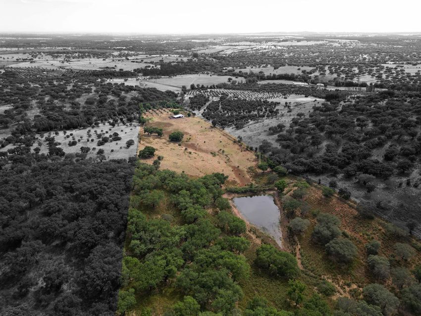 Imagem Vistas de  herdade em Estrada Sem Nome