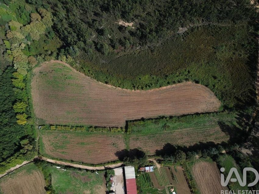 Imagem de terreno em Alfena