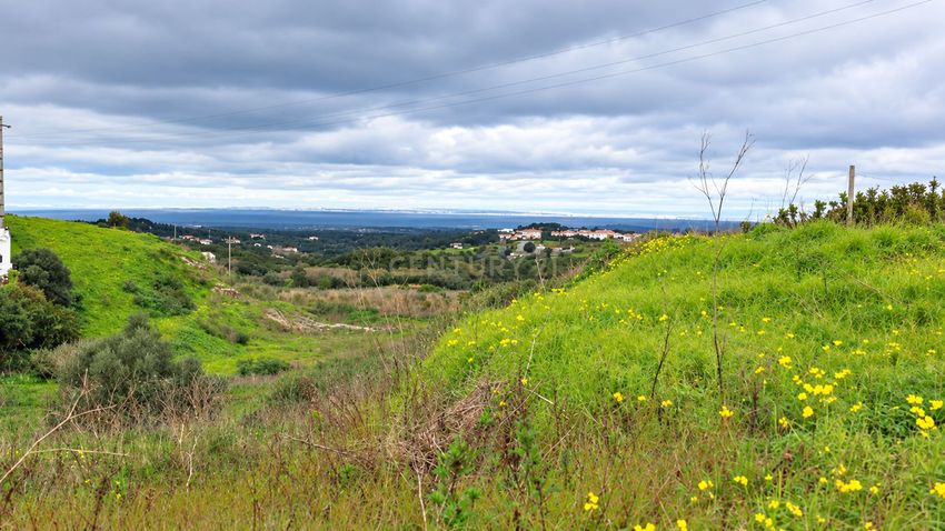 Зображення Вигляд, земельна ділянка, Estrada municipal