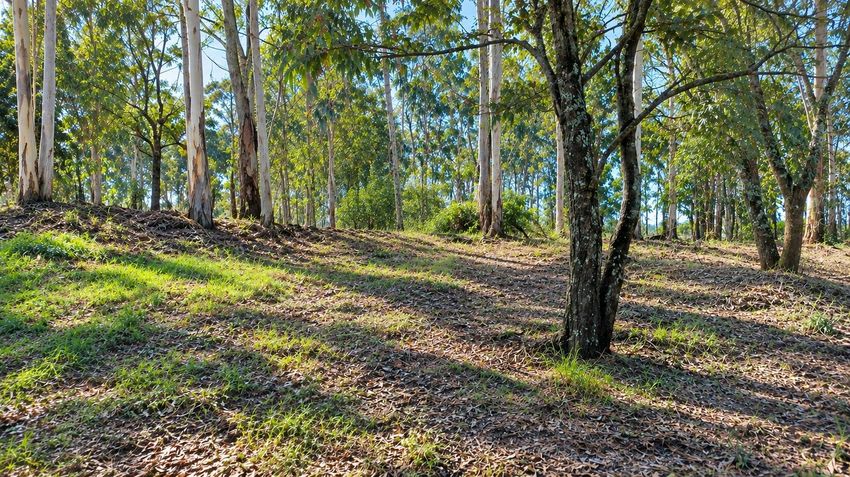 Imagem de terreno em Carvalhosa