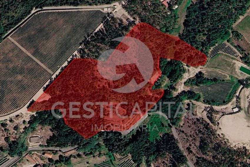 Зображення земельна ділянка, Constance