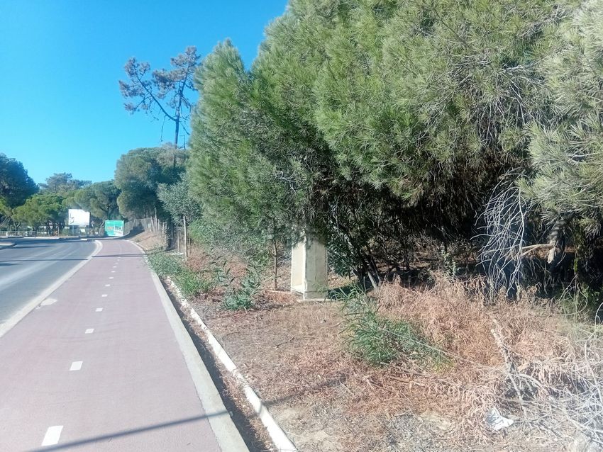 Imagem de terreno em Rua M527 s/n