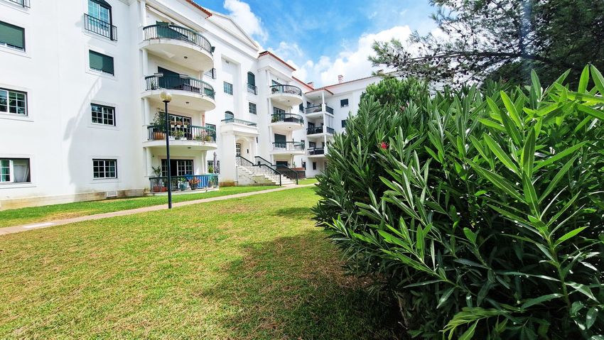 Imagem Jardim de apartamento t3 em Praceta Rita Ferreira da Silva
