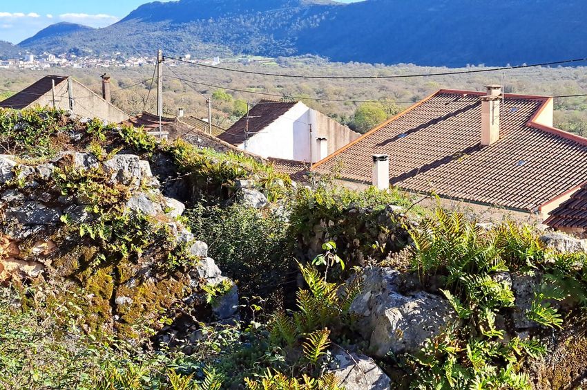 Imagem Terreno de terreno em Rua da Capela, 278