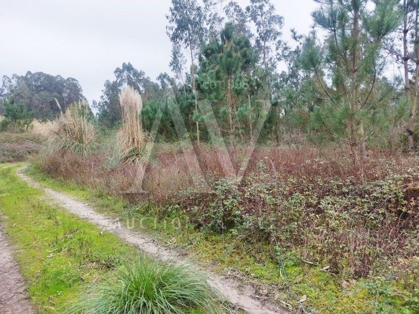Imagem de terreno em Febres