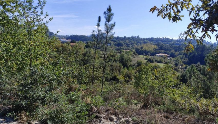 Imagem Vistas de terreno em Vila Boa do Bispo