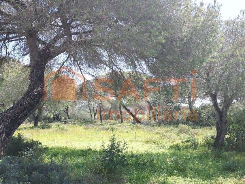 Imagem de terreno em Armação de Pêra