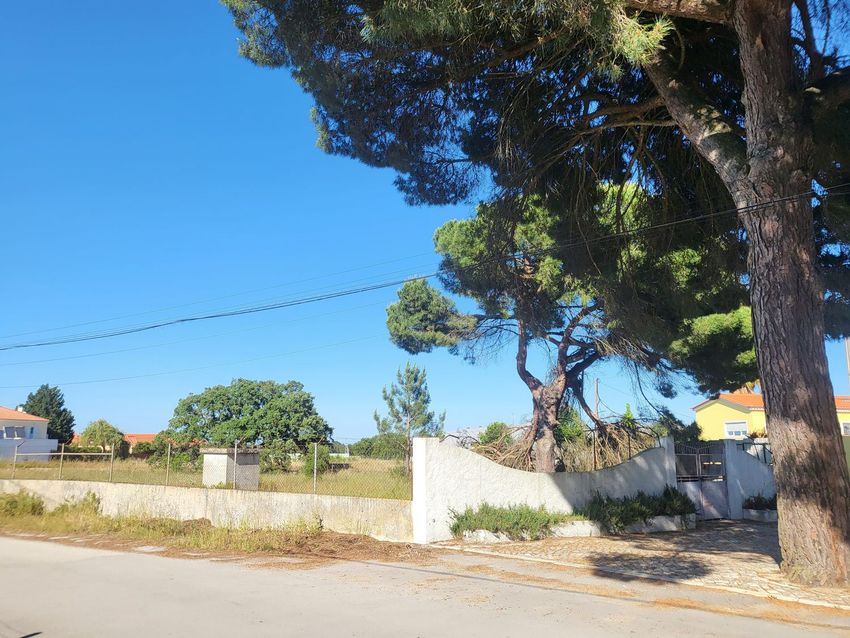 Imagem de terreno em Venda do Alcaide