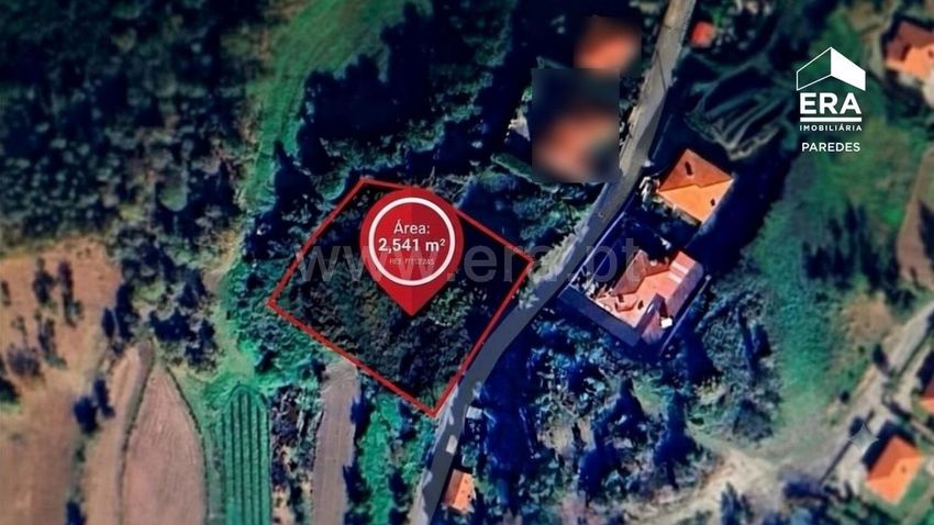 Imagem de terreno em Rebordosa
