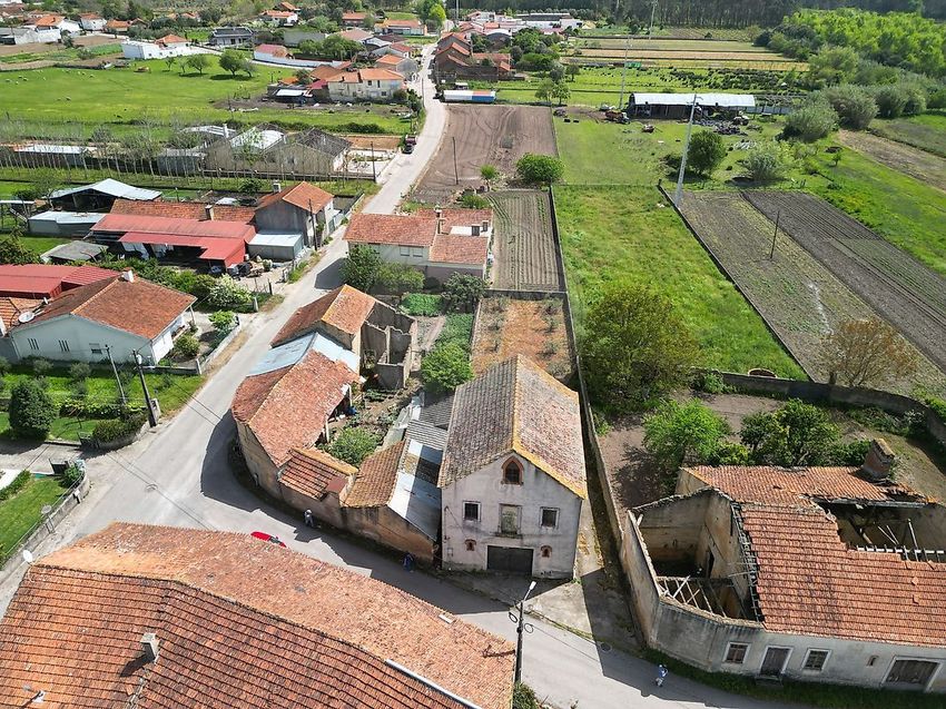 Imagem de armazém em São Lourenço do Bairro
