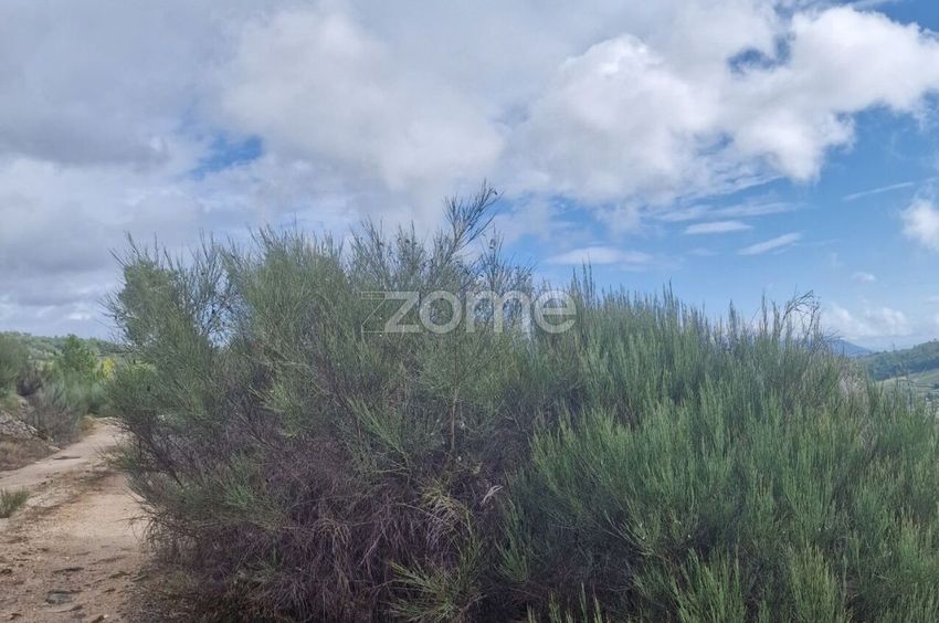 Imagem Zonas comuns de terreno em Rua Adelino Moreira