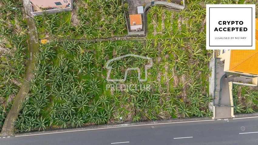 Imagem de terreno em Ribeira Brava