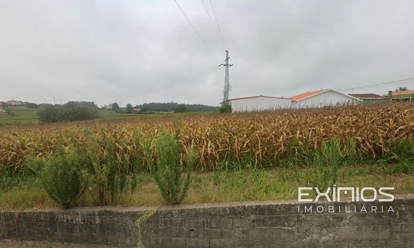 Imagem de terreno em Aveleda