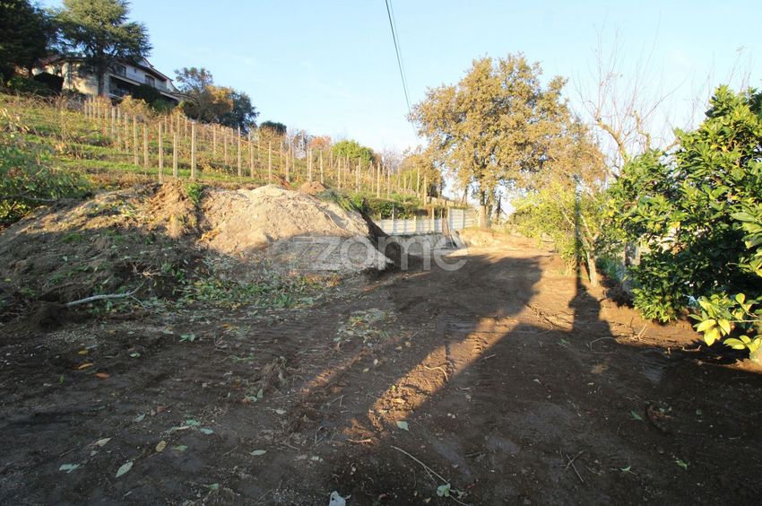 Imagem Terreno de terreno em Rua das Pocinhas s/n