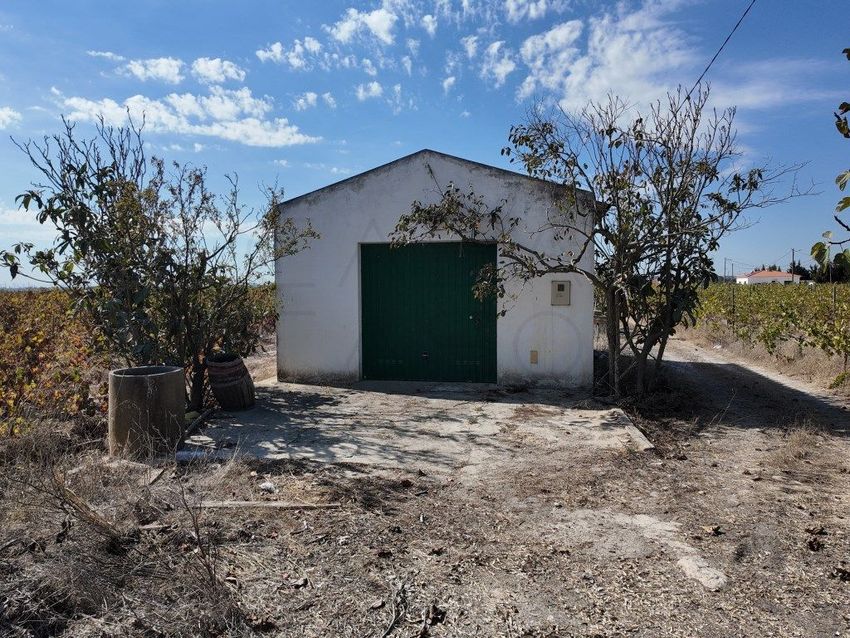 Imagem de terreno em Rua Luís de Camões, 16