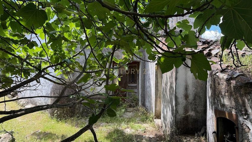 Imagem Jardim de  moradia independente em Caminho do Monte Ornalho s/n
