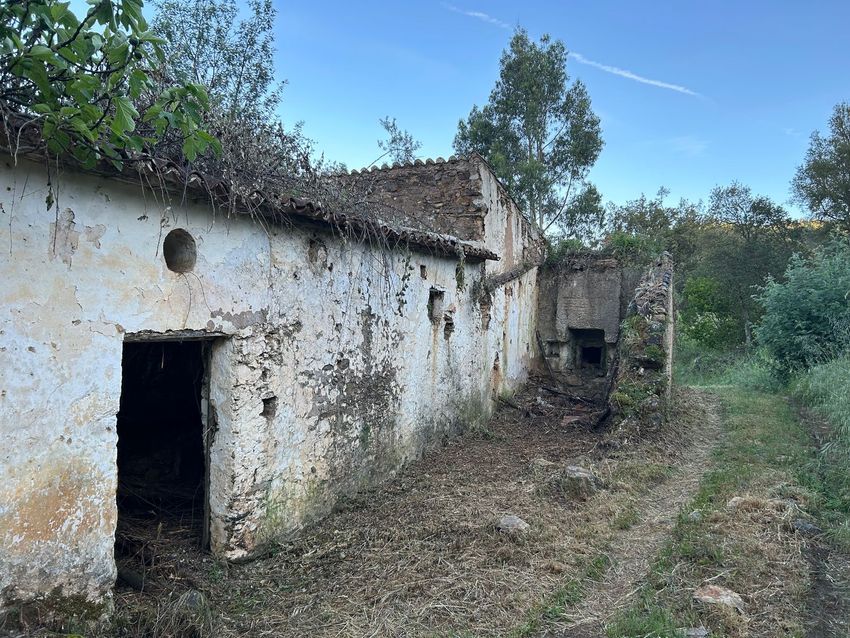 Imagem de terreno em São Salvador da Aramenha s/n