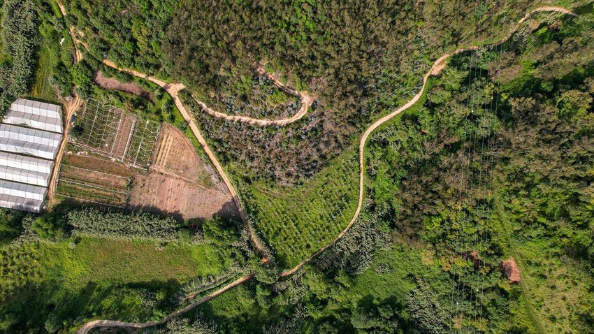 Imagem de terreno em Sobreiro, Mafra, Portugal s/n