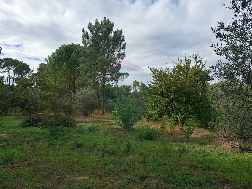 Imagem Terreno de terreno em Silgueiros