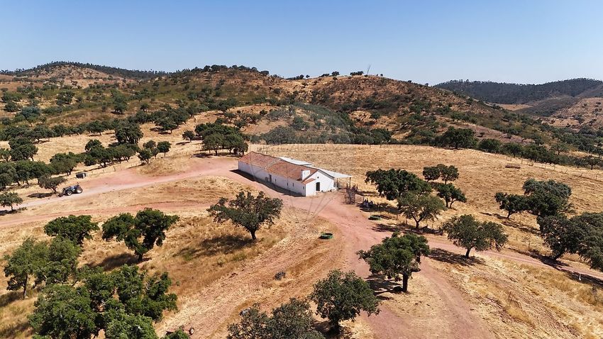 Imagem de  quinta em São Manços e São Vicente do Pigeiro