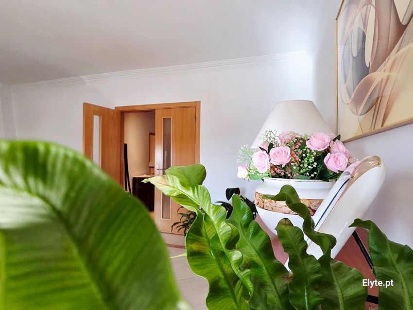 Imagem Vizinhança de apartamento t3 em Rua do Alecrim