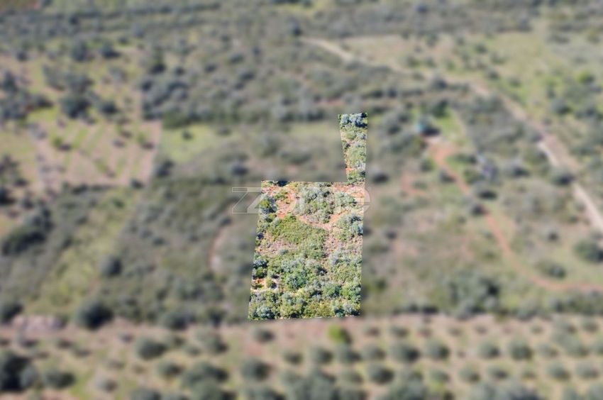 Imagem Terreno de terreno em Val 2216-1