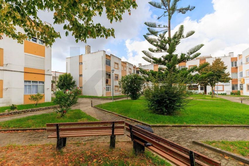 Зображення Сад, квартира t3, Praceta da Amizade, 5