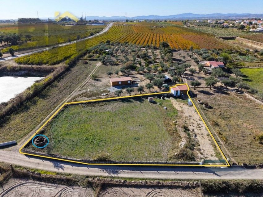 Imagem de terreno em Lardosa