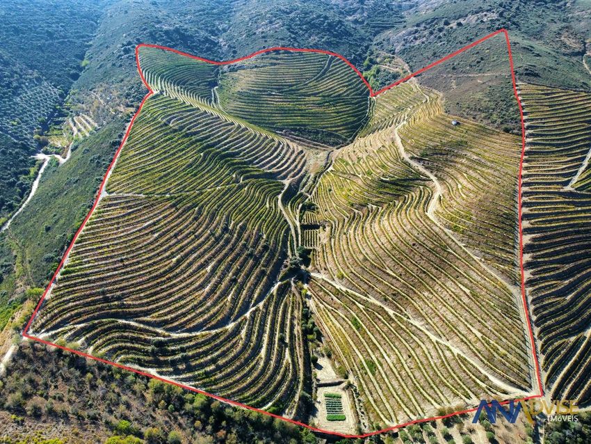 Imagem de  quinta em Vila Nova de Foz Côa