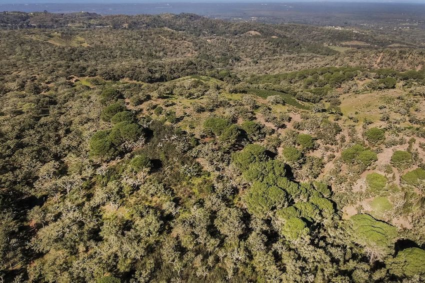 Imagem Vistas de terreno em Ip8
