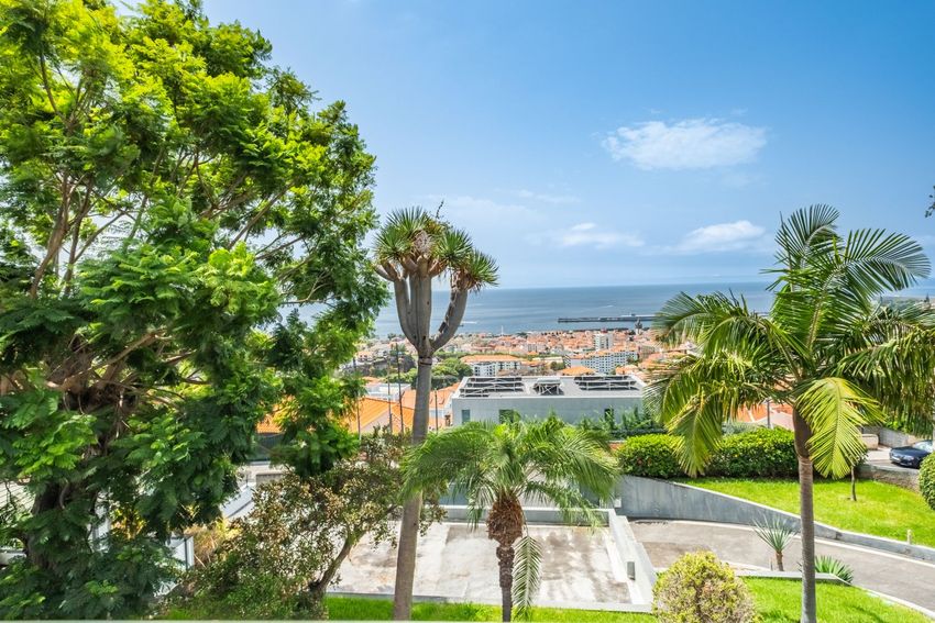 Imagem Vistas de  moradia independente em Rua Nova Pedro José de Ornelas